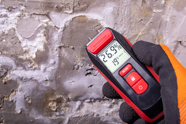Best Local Mold Removal Service  in Highlands Ranch, CO