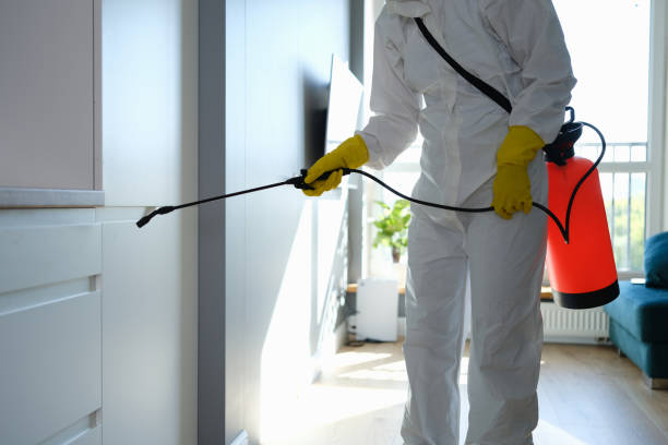 Best Mold Removal and Inspection  in Highlands Ranch, CO